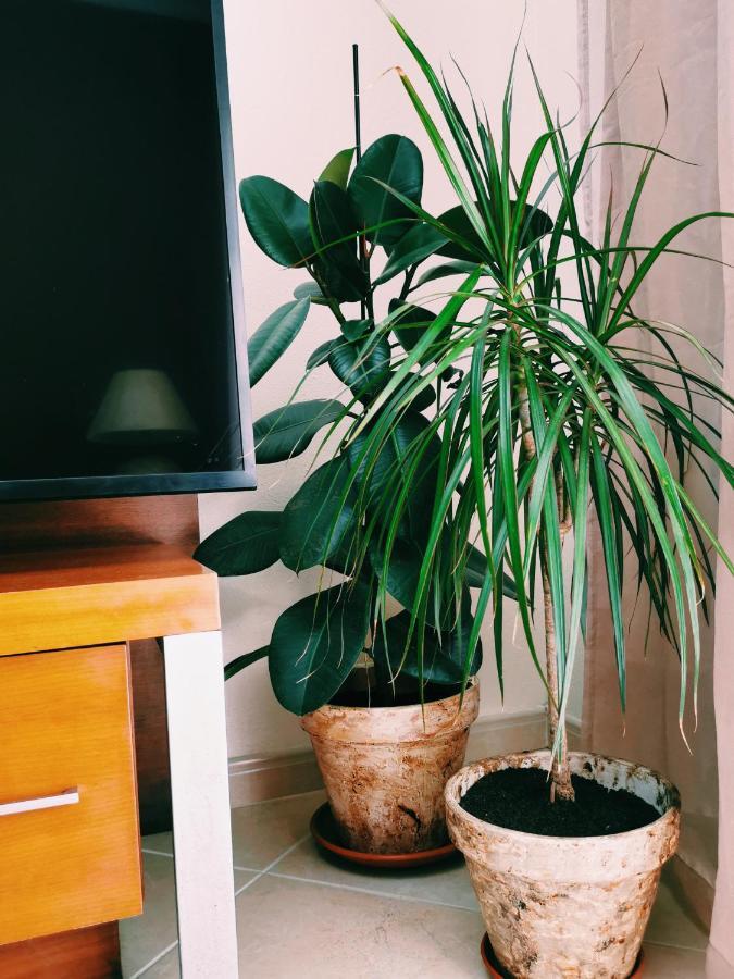 Kintsugi House Lagos Ngoại thất bức ảnh